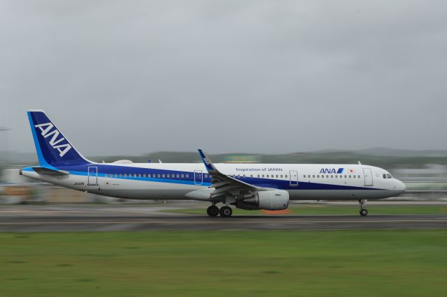 Airbus A321 (JA112A) - August 25th 2018:HKD-HND.