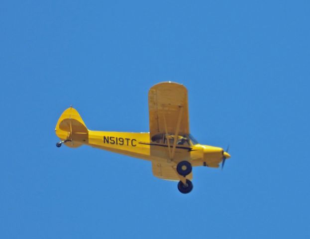 Piper L-21 Super Cub (N519TC)