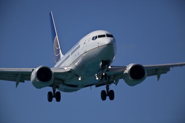 Boeing 737-800 —