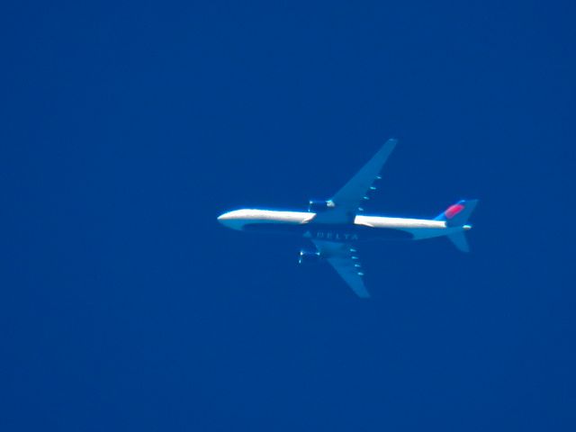 Airbus A330-300 (N810NW)