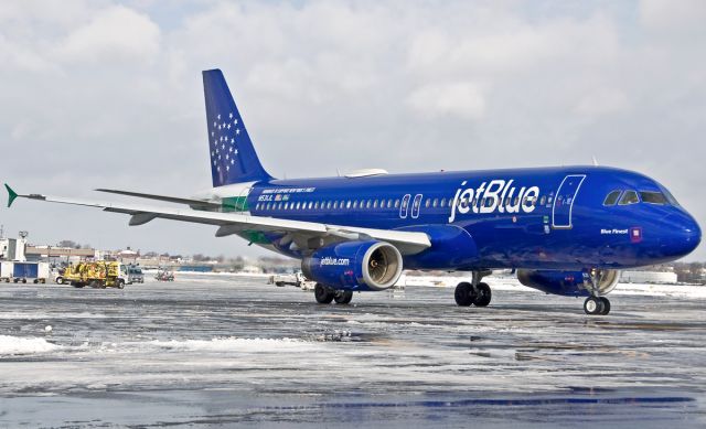 Airbus A320 (N531JB) - Blue Finest !