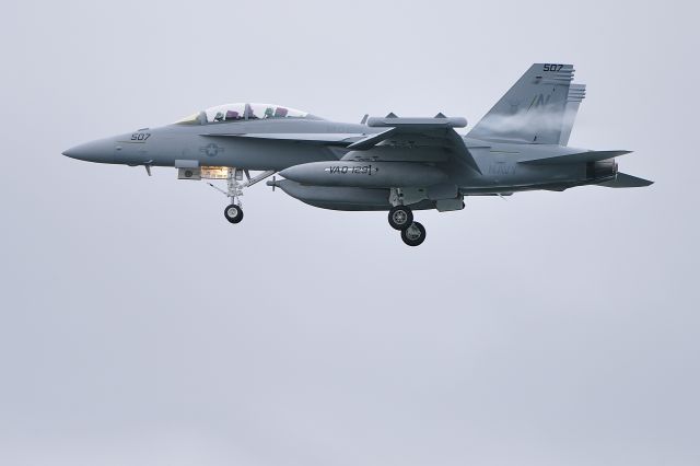 16-8392 — - Final approach NAS Whidbey VAQ-129