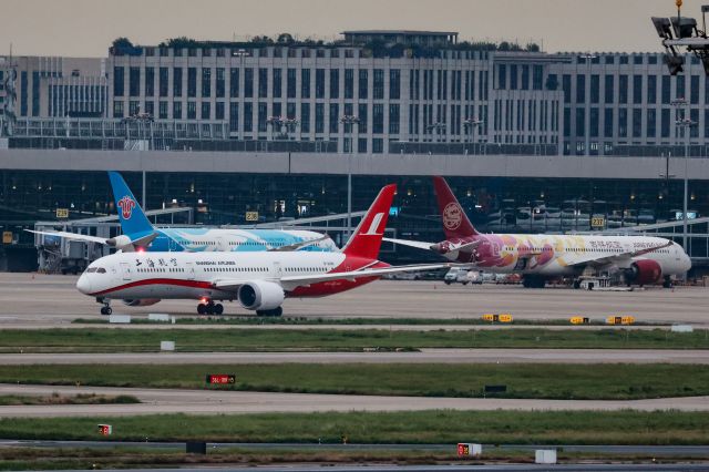 Boeing 787-8 — - Three 787-9s at the same time in ZSSS airport.