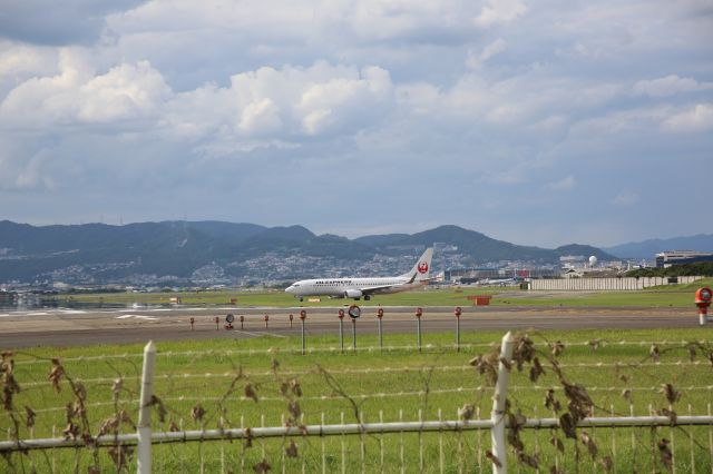 Boeing 737-800 (JA341J)
