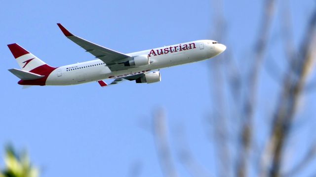 BOEING 767-300 (OE-LAY)