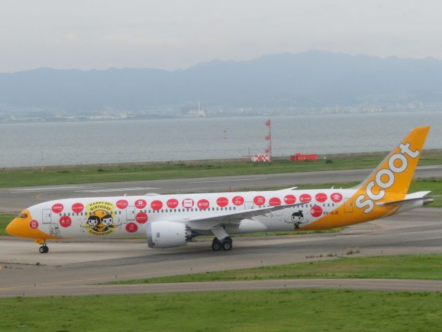 Boeing 787-9 Dreamliner (9VОJE)