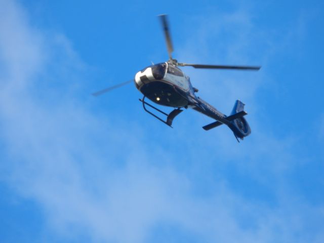 Eurocopter EC-130 (N208SH)