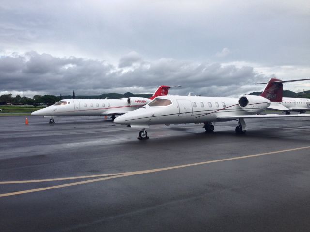 Learjet 31 (N54HT)