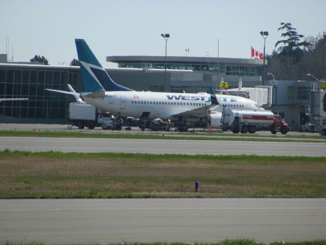 Boeing 737-800 (C-GWAZ)