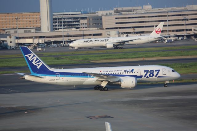 Boeing 787-8 (JA803A)