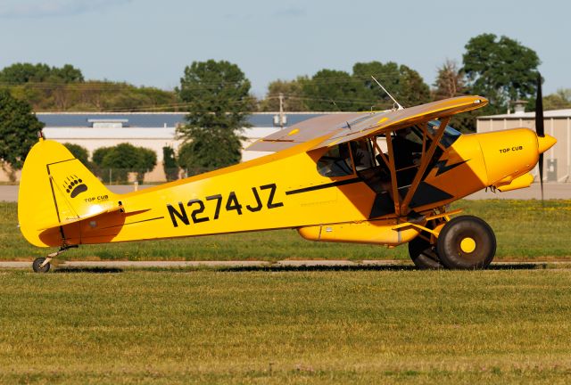 Piper L-21 Super Cub (N274JZ)