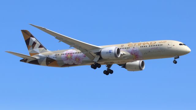 Boeing 787-8 (A6-BLK) - Chooise Japan colors