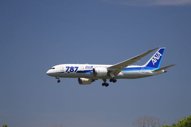 Boeing 787-8 (JA817A) - May 26th 2019:HND-HKD.