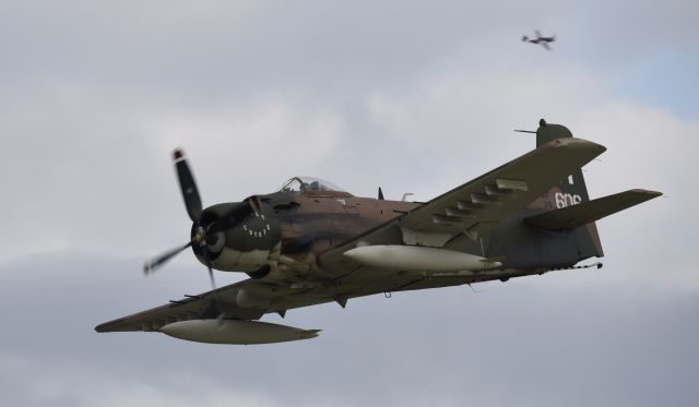 Douglas AD Skyraider (N39606) - Airventure 2018