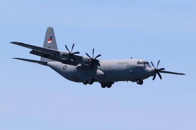 Lockheed C-130 Hercules (A1344) - SkU31