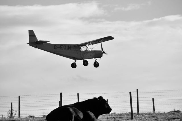 ZENAIR Stol (CH-701) (G-EOIN) - Landing at Lamb Holm International Orkney
