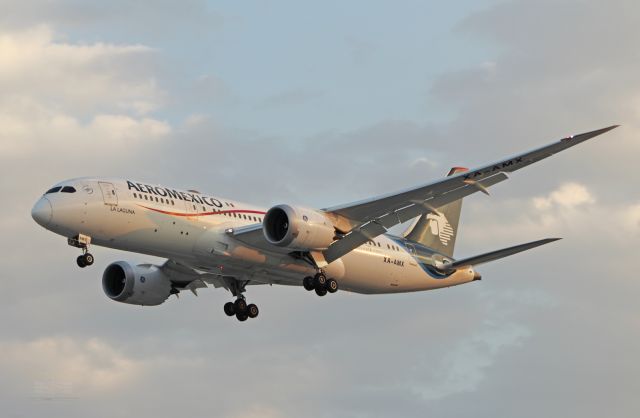 Boeing 787-8 (XA-AMX) - AeroMexico / Boeing 787-8 - MSN 36843 / XA-AMX "La Laguna" / MMMX 04/2019