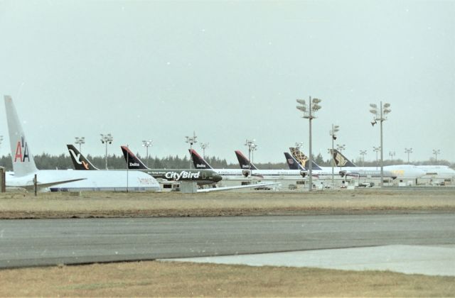 BOEING 767-300 (OO-CTA) - KPAE - Jan 2000 on a trip up to the home town area to visit relatives in the Seattle area, driving around Boeing Everett was a load of fun as I'd never know what was going to be there ( mostly pre- internet for me ) City Bird had 2 767-300s on the ramp (one out of view) - so cool. OO-CTA "Falcon" Ln 780, shows here with a bunch of other 767s and 747/777s on the flight-line - I'll post another photo of -CTA under the hood at BF Goodrich at the south end for unknowm modifications, to me. Many times I traveled to Seattle-Everett area to visit dad and 90% of the time is was all UAL/American/Delta/Singapore/Korean Air but to nab a new City Bird 767-3 was priceless....no matter what Seattle weather we had.