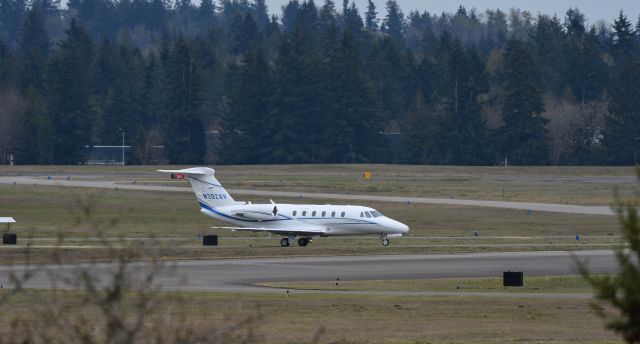 Cessna Citation III (N202AV)