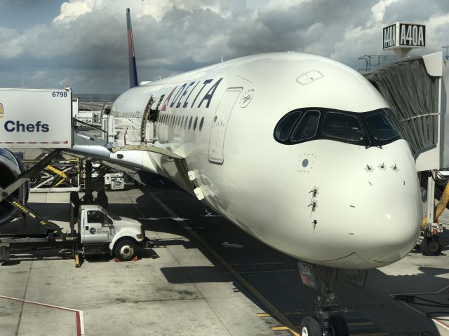 Airbus A350-900 (N504DN)