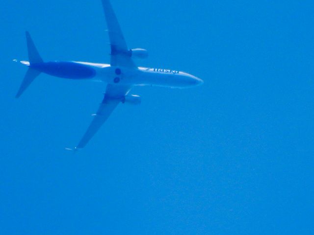 Boeing 737-900 (N448AS) - ASA16br /SEA-MCObr /05/29/22