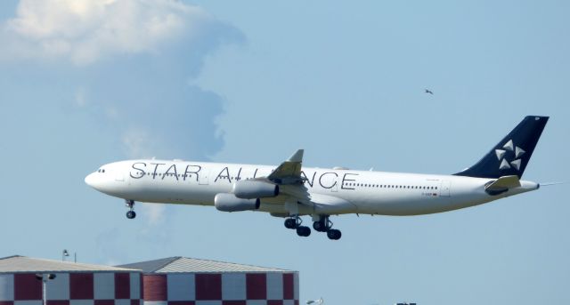 Airbus A340-300 (D-AIGP) - Shown here is a Star Alliance Airbus A340-300 a moment until it lands in the Autumn of 2017.