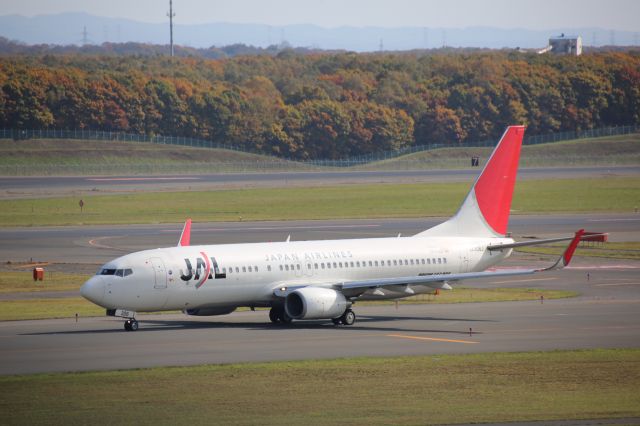 Boeing 737-800 (JA306J)