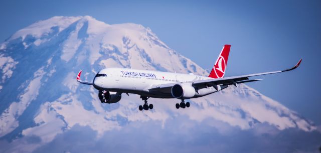 Airbus A350-900 (TC-LGN) - IST   4-22-2024