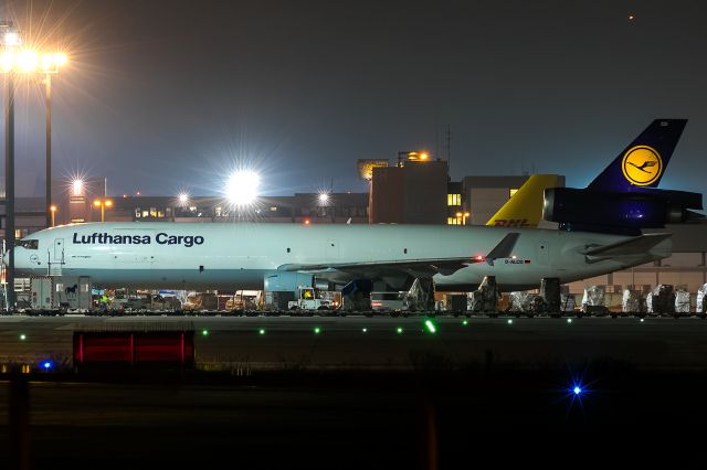 Boeing MD-11 (D-ALCD) - horse transportation