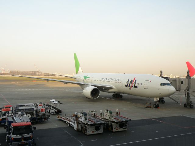 Boeing 777-200 (JA8984) - JAL503 TYO-SPK 11.APR.2009  Color scheme "eco jet"