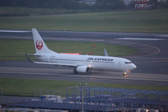 Boeing 737-800 (JA309J)