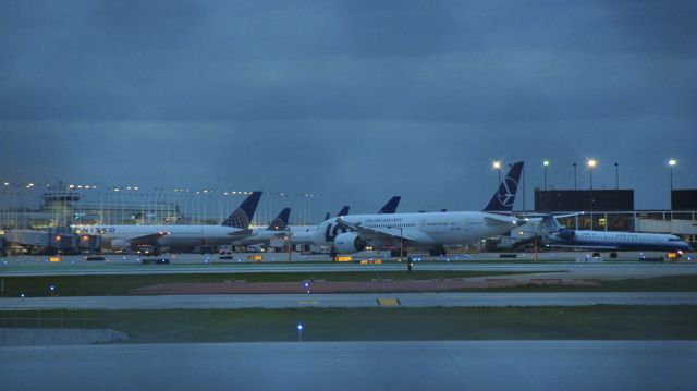 Boeing 787-8 (SP-LRA)