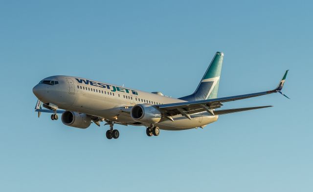 Boeing 737-800 (C-FRWA) - WJA418 arrives in Toronto from Edmonton in the morning sun, about to land on runway 23