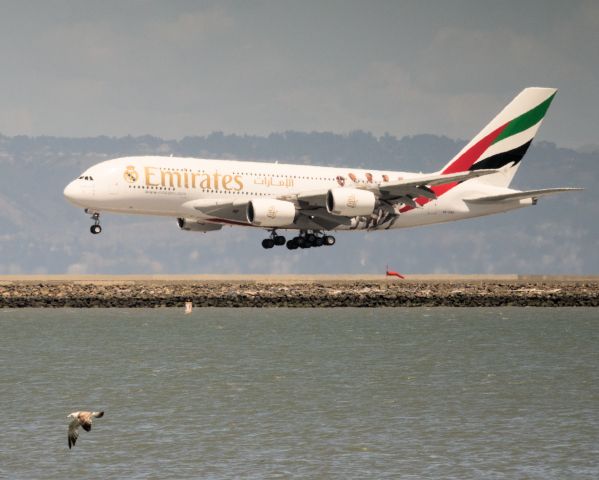 Airbus A380-800 (A6-EOD)