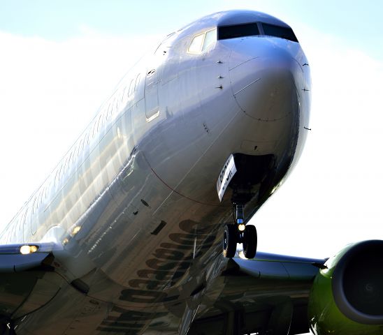 Boeing 737-800 (JA809X)