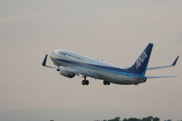 Boeing 737-800 (JAS63AN) - 27 July 2015:HKD-KIX.