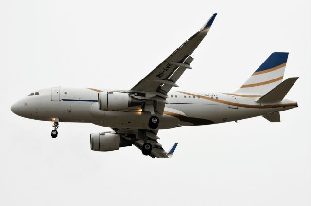 Airbus A319 (9H-AVK)