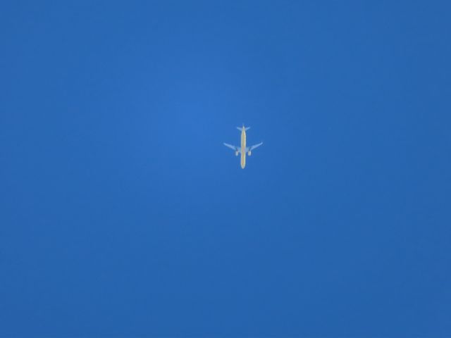 Airbus A321 (N670NK) - Spirit A321 en route to KDFW at 31,000 ft