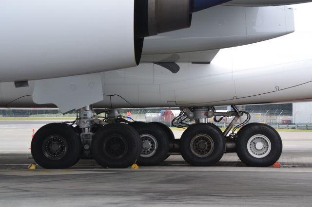 Airbus A380-800 (A6-EUG)