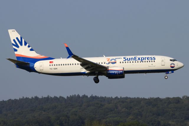 Boeing 737-800 (TC-SEK)