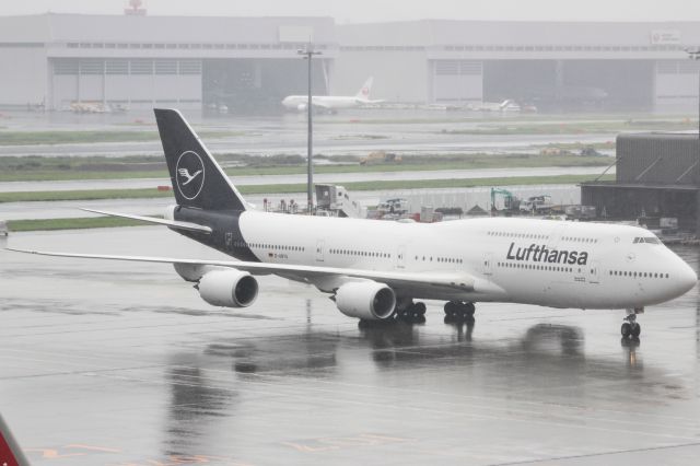 BOEING 747-8 (D-ABYA)