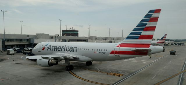 Airbus A319 (N717UW) - Ex Panther plane.