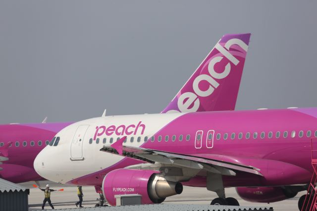 Airbus A320 (JA803P)
