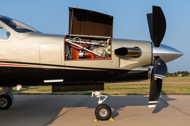 Daher-Socata TBM-900 (N333EY) - Business end of the TBM900