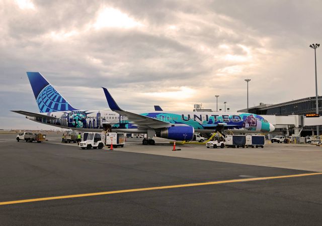 Boeing 757-200 (N14102) - New York/New Jersey Her Art Special Livery 10/02/19