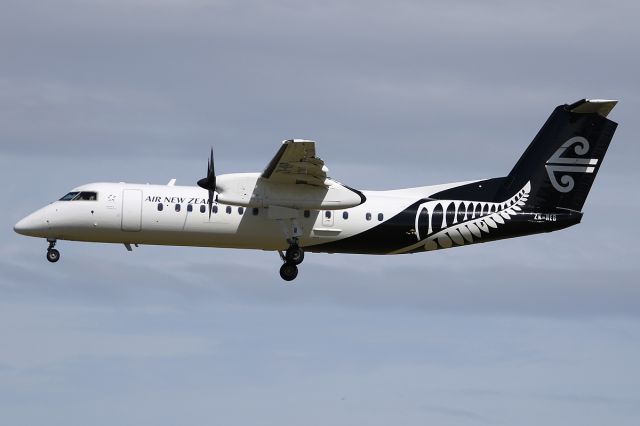 de Havilland Dash 8-300 (ZK-NEB) - on 8 Jan 2017