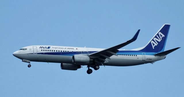 Boeing 737-800 (JA55AN)