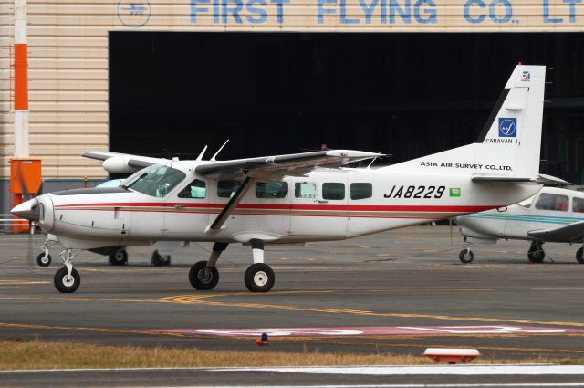 Cessna Caravan (JA8229)