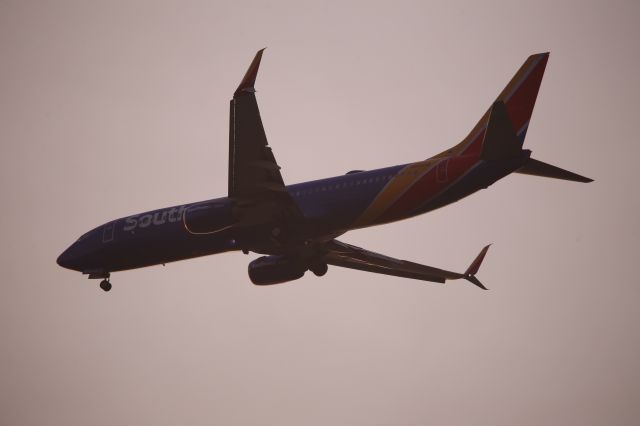Boeing 737-800 (N8329B)