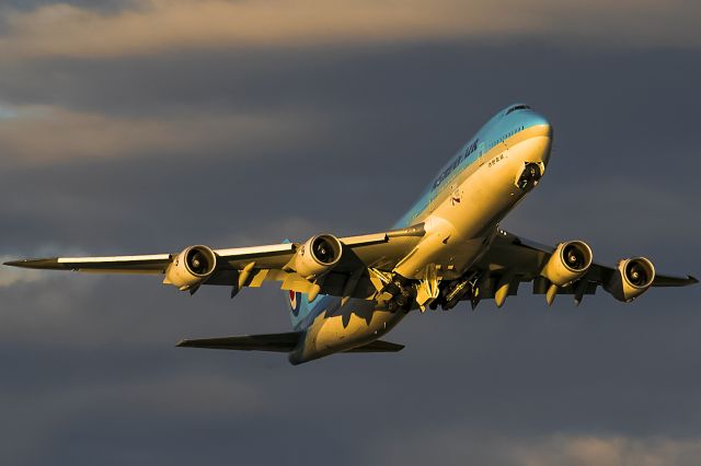 BOEING 747-8 (HL7637) - yellow evening sun after heavy rain